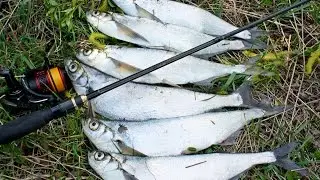 Ловля Крупной Чехони на Микроколебалки!!! Рыбалка на Десне. Ультралайт.