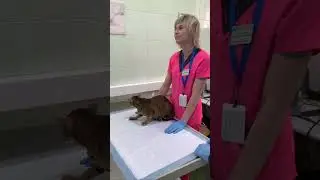 Не опускайте мужей одних к врачу
