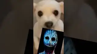 бригаду?