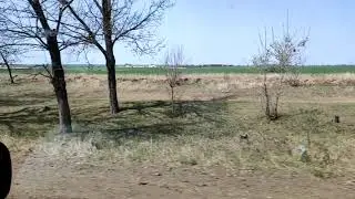 Тест Slowmotion телефона Xiaomi 9 SE.