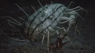 Black Myth Wukong - Centipede Guai Boss Fight