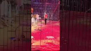 показал кто тут главный