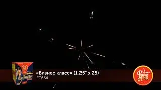 EC664 Бизнес класс