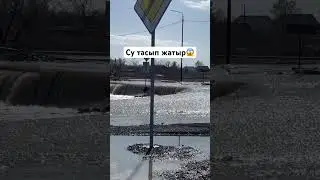 Су тағы тасып жатыр😱 
