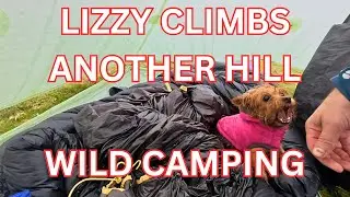 Lizzy and Lassie's Epic Dartmoor Tor Conquest Revealed! Part 4