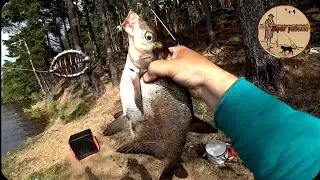 Безотказный монтаж в деле,Рыбалка на донки,Открытие сезона. Сamping ,fishing,bushcraft,