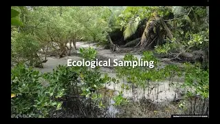 Ecological sampling