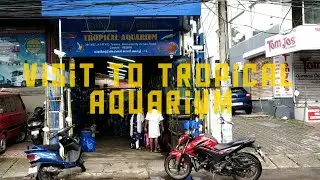Largest wholesale and retail shop in Ernakulam | TROPICAL AQUARIUM