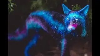 DIY Galaxy Wolf Art Doll Tutorial