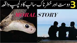 3 Friends Story in Urdu | Urdu moral Stories | sabaq amoz kahani | urdu moral story | Bunty TV