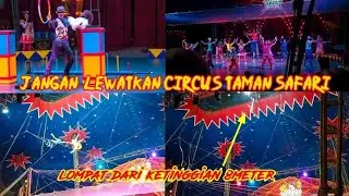 Indonesian Acrobatic Safari Park