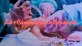 La réanimation néonatale