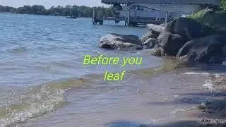 Before You Leaf - short film