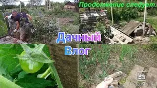 Почистили двор / Уехал, а мы остались / Дачный влог