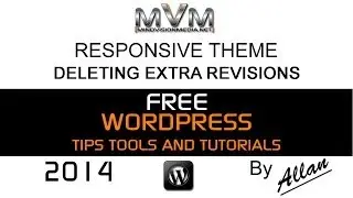 WordPress Deleting Extra Revisions