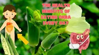 The Health Benefits of Eating Okra Every Day #okra