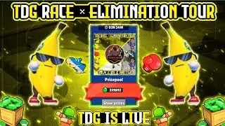 😎TDG 2v2 Race x Elimination Tournament Live  | Stumble Guys Live ❤️