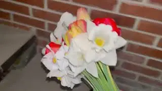 9 мая/зачем смотрю новый дом