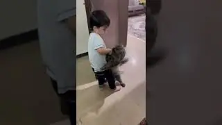 Cat bite little kid 