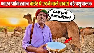 क्या ऊंटनी के दुध में कीड़े पड़ जाते है गेनाराम देवासी ने बताई सच्चाई | Camel Milk