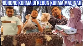 MADINAH CITY TOUR KE MASJID QUBA, KEBUN KURMA & JABAL UHUD