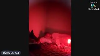 Sleep stream 2023 Thursday