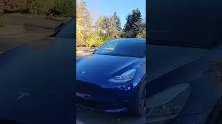 Tesla Model Y Mrbeast present