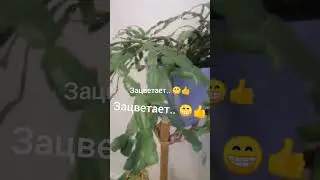 Убераю в детской./Совет как заправить  подушку./У птицы "полет нормальный".