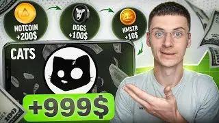 Cats Airdrop Токенів, Лістинг у Вересні - ВСТИГНИ ЗАБРАТИ | Аналог Dogs