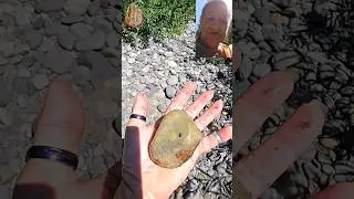 Copper Stained Agate with a Tip #shorts  #agate  #rockhounding