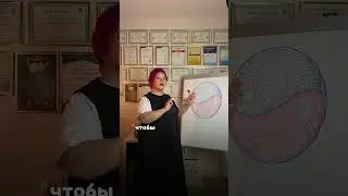 У каких мужчин рождаются девочки? Инст: doctor.shi_