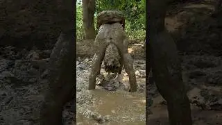 Mud-man training 🔥/ #armynagar 🇮🇳 #commando #training #powerful #shorts