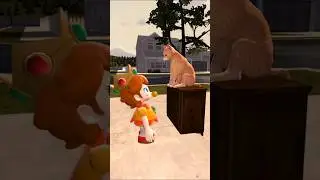 Baby Daisy meets a Cat