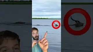 this antelope uses special features to escape croc