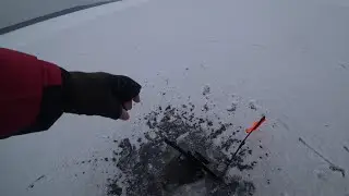 ПЕРВЫЙ ЛЁД 22/23.Не успел поставить жерлицу и сразу клюнула щука. Зимняя рыбалка на озере!