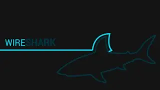 BCS453 Cyber Security Workshop | Practical Wireshark