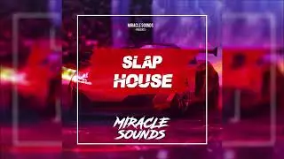 Slap House Sample Pack (Samples & Serum Presets)