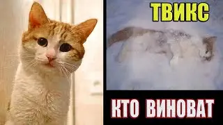 Кто виноват в смерти кота ТВИКСА? Кот ТВИКС совершил РЕВОЛЮЦИЮ на РЖД!