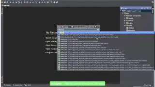 1. Setting up development environment for creating an application with Angular Fire 0.8