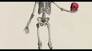 (Imagine Dragons) Bones - Bass Boosted