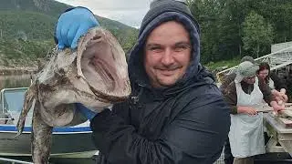Fishing trip to Norway and how I cope with filleting 2024