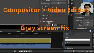 Compositing not showing up in Blender's Video Editor? Try this!