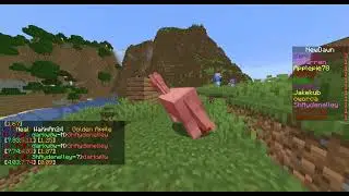 NewDawnS18E08 - SPLAT, Reggae Outro Horse