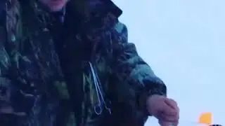 Горбач на 2 кг.