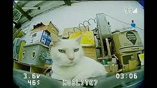 FPV_008 Praticando orbitas com a Névinha 100+ horas de simulador Jumper T14