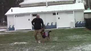 Training Sasha