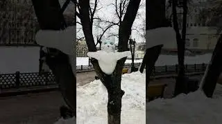 Снежный кот застрял на дереве. Snow cat stuck in a tree.#cat #stuck #котики #snowcat#winter#artwork