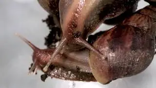 Film 2 - Fünfzigtausend Sterne