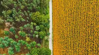 ¡Plantásticas! | Opens March 23