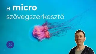 A micro szövegszerkesztő (text editor)